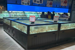 广州永辉超市定做鱼池，超市贝壳鱼缸尺寸，虾蟹鱼池定做